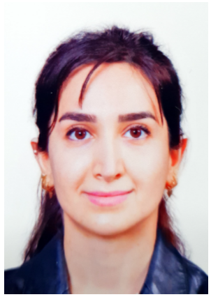 Meshkat Rajaee 사진